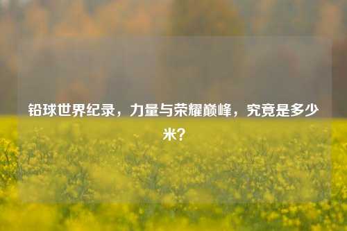 铅球世界纪录,力量与荣耀巅峰,究竟是多少米?