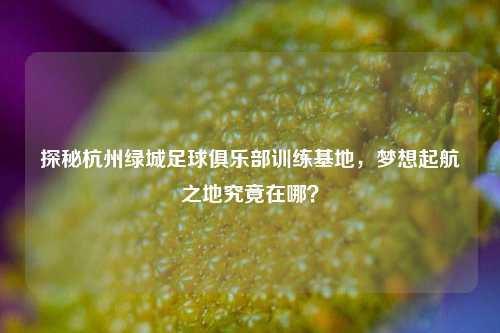 探秘杭州绿城足球俱乐部训练基地,梦想起航之地究竟在哪?