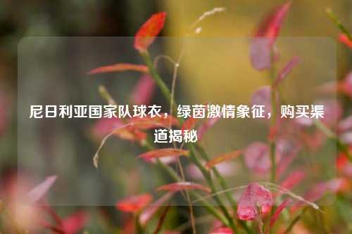 尼日利亚国家队球衣,绿茵***象征,购买渠道揭秘