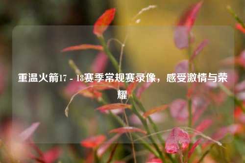 重温火箭17 - 18赛季常规赛录像,感受***与荣耀