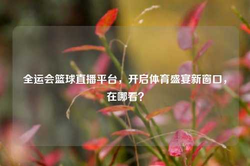 全运会篮球直播平台,开启体育盛宴新窗口,在哪看?