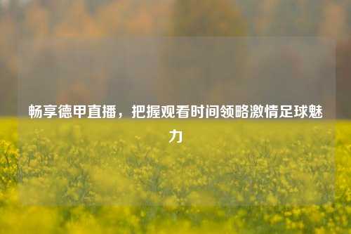 畅享德甲直播,把握观看时间领略***足球魅力