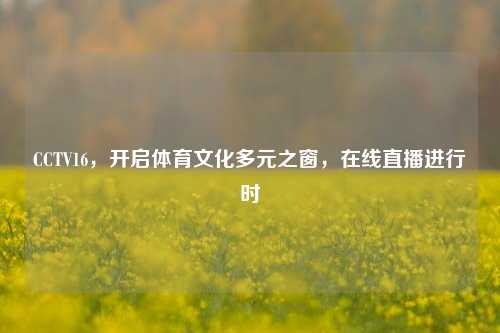 CCTV16,开启体育文化多元之窗,在线直播进行时