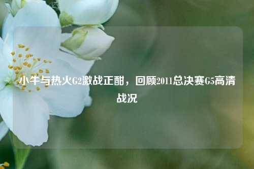 小牛与热火G2激战正酣,回顾2011总决赛G5高清战况