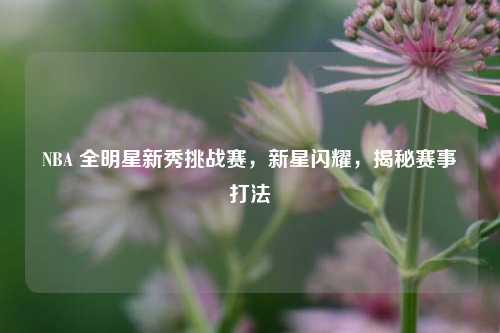 NBA 全明星新秀挑战赛,新星闪耀,揭秘赛事打法