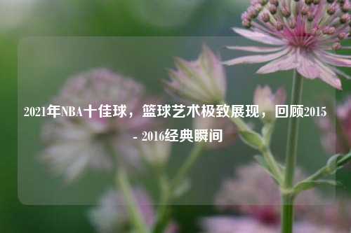 2021年NBA十佳球,篮球艺术极致展现,回顾2015 - 2016经典瞬间