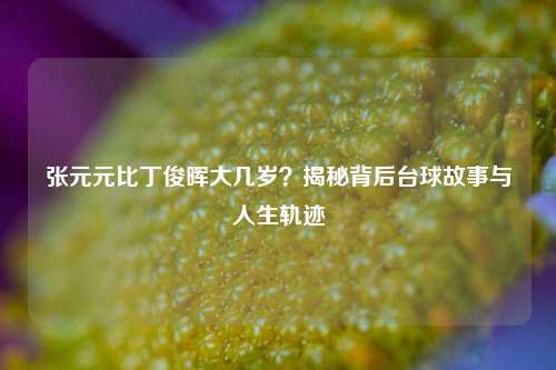 张元元比丁俊晖大几岁?揭秘背后台球故事与人生轨迹