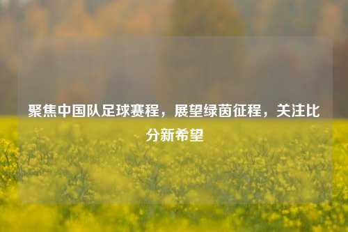 聚焦中国队足球赛程,展望绿茵征程,关注比分新希望