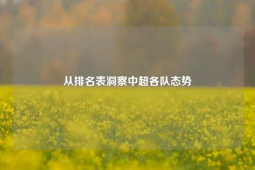 从排名表洞察中超各队态势