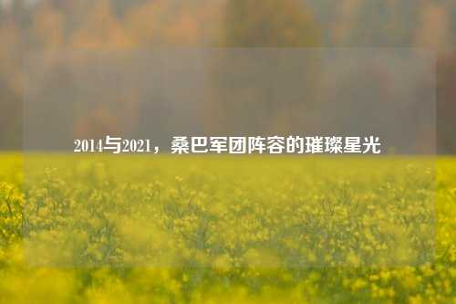 2014与2021,桑巴军团阵容的璀璨星光