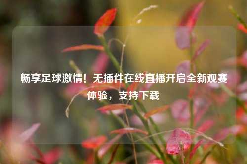 畅享足球***!无插件在线直播开启全新观赛体验,支持下载