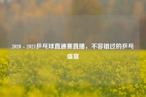 2020 - 2021乒乓球直通赛直播,不容错过的乒乓盛宴