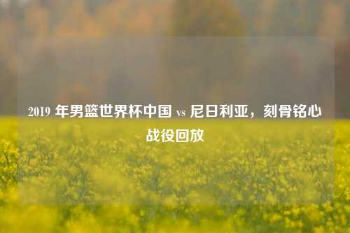 2019 年男篮世界杯中国 vs 尼日利亚,刻骨铭心战役回放