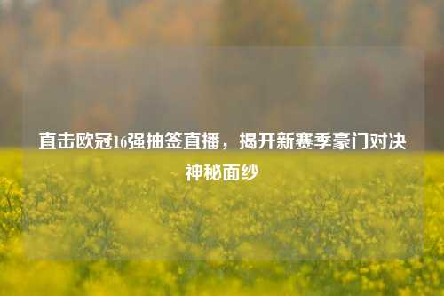 直击欧冠16强抽签直播,揭开新赛季豪门对决神秘面纱