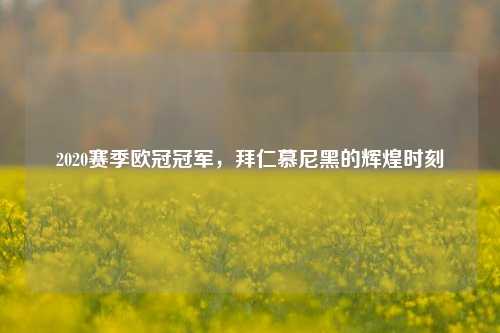 2020赛季欧冠冠军,拜仁慕尼黑的辉煌时刻