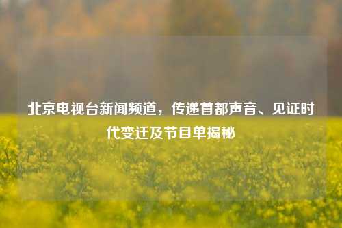 北京电视台新闻频道,传递首都声音、见证时代变迁及节目单揭秘