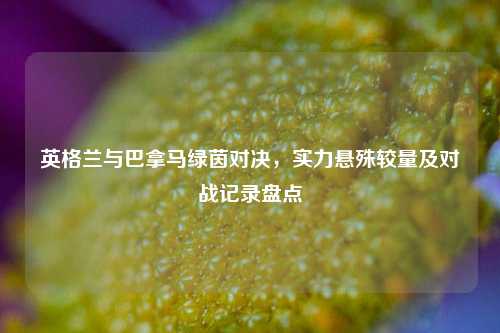 英格兰与巴拿马绿茵对决,实力悬殊较量及对战记录盘点