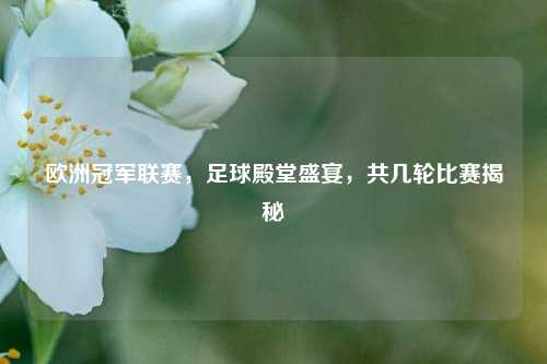 欧洲冠军联赛,足球殿堂盛宴,共几轮比赛揭秘
