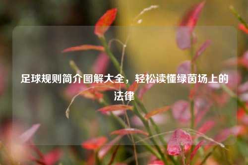 足球规则简介图解大全,轻松读懂绿茵场上的法律