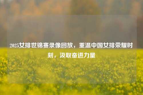 2025女排世锦赛录像回放,重温中国女排荣耀时刻,汲取奋进力量