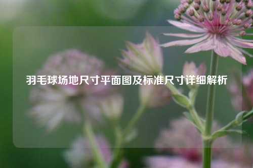 羽毛球场地尺寸平面图及标准尺寸详细解析