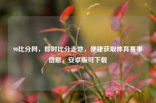 90比分网,即时比分走地,便捷获取体育赛事信息,安卓版可下载