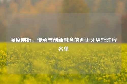 深度剖析,传承与创新融合的西班牙男篮阵容名单