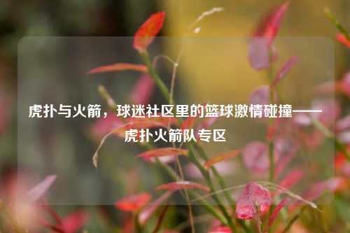 虎扑与火箭,球迷社区里的篮球***碰撞——虎扑火箭队专区