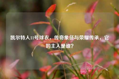 凯尔特人11号球衣,传奇象征与荣耀传承,它的主人是谁?