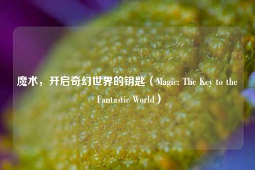 魔术,开启奇幻世界的钥匙(Magic: The Key to the Fantastic World)