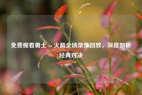 免费观看勇士 vs 火箭全场录像回放,深度剖析经典对决