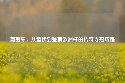 葡萄牙,从蛰伏到登顶欧洲杯的传奇夺冠历程