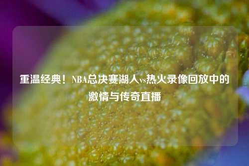 重温经典!NBA总决赛湖人vs热火录像回放中的***与传奇直播