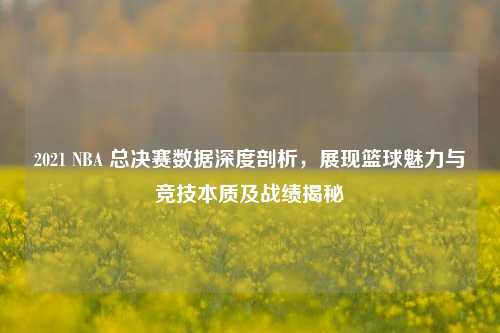 2021 NBA 总决赛数据深度剖析,展现篮球魅力与竞技本质及战绩揭秘