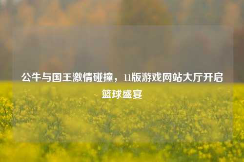 公牛与国王***碰撞,11版游戏网站大厅开启篮球盛宴