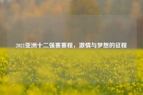 2021亚洲十二强赛赛程,***与梦想的征程