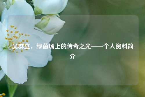 吴群立,绿茵场上的传奇之光——个人资料简介