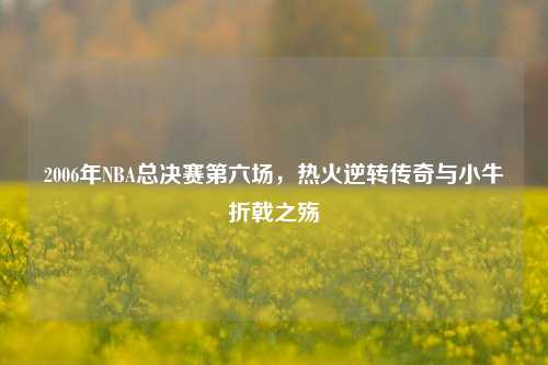 2006年NBA总决赛第六场,热火逆转传奇与小牛折戟之殇