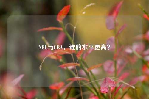 NBL与CBA,谁的水平更高?