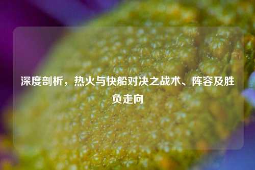 深度剖析,热火与快船对决之战术、阵容及胜负走向