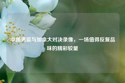 中国男篮与加拿大对决录像,一场值得反复品味的精彩较量