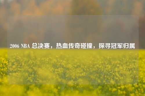 2006 NBA 总决赛,热血传奇碰撞,探寻冠军归属