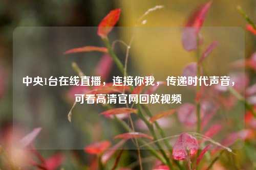 中央1台在线直播,连接你我,传递时代声音,可看高清官网回放视频