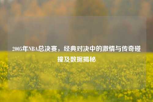 2005年NBA总决赛,经典对决中的***与传奇碰撞及数据揭秘