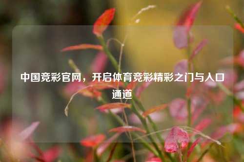 中国竞彩官网,开启体育竞彩精彩之门与入口通道
