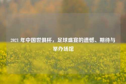 2021 年中国世俱杯,足球盛宴的遗憾、期待与举办场馆