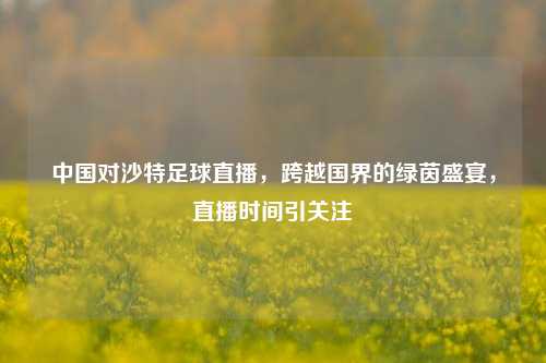 中国对沙特足球直播,跨越国界的绿茵盛宴,直播时间引关注