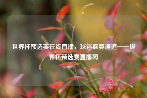 世界杯预选赛在线直播,球迷盛宴通道——世界杯预选赛直播网