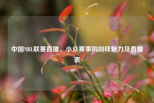 中国NBL联赛直播,小众赛事的别样魅力及直播表