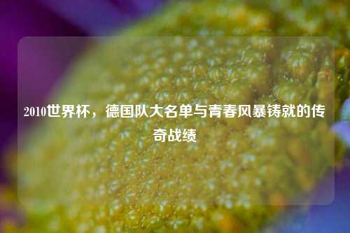 2010世界杯,德国队大名单与青春风暴铸就的传奇战绩